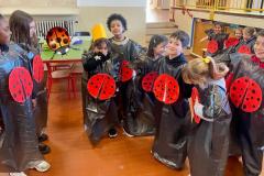 WhatsApp-Image-2023-01-26-at-17.39.41-6